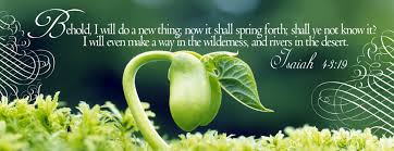 Spring to Newness of Life